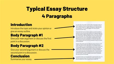 How Many Pages Should an Essay Be: A Multi-perspective Analysis